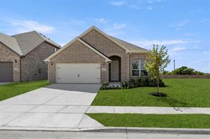 6217 DeLaCroix Drive - Photo 1