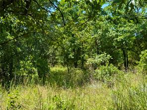 350 Indian Camp Road - Photo 10