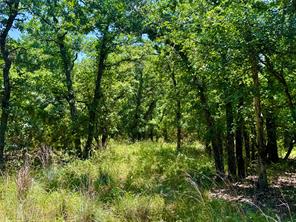 350 Indian Camp Road - Photo 11