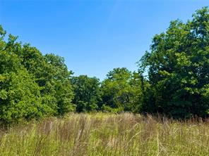 350 Indian Camp Road - Photo 12