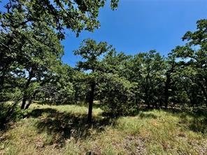 350 Indian Camp Road - Photo 15