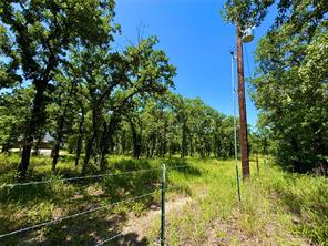 350 Indian Camp Road - Photo 16