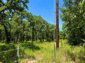 350 Indian Camp Road - Photo 17