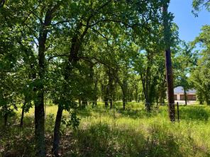 350 Indian Camp Road - Photo 18