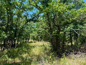 350 Indian Camp Road - Photo 19