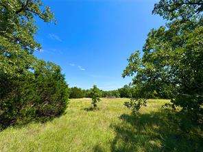 350 Indian Camp Road - Photo 2
