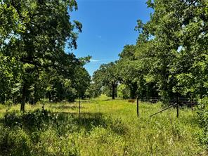 350 Indian Camp Road - Photo 4
