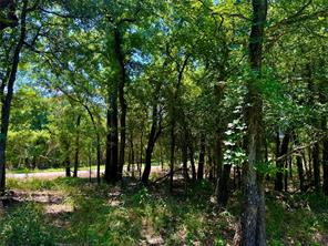 350 Indian Camp Road - Photo 7