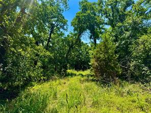 350 Indian Camp Road - Photo 8