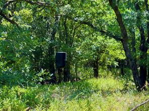 350 Indian Camp Road - Photo 9