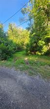 1216 Saint John Street - Photo 1