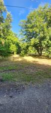 1212 Saint John Street - Photo 1