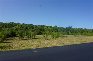 Lot 158 Canyon Wren - Photo 4
