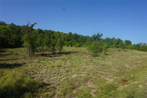 Lot 158 Canyon Wren - Photo 7