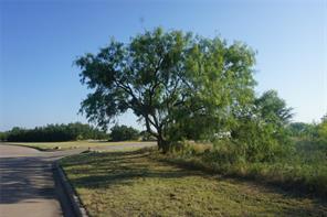 Lot 141 Spyglass Drive - Photo 9