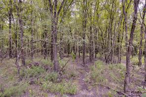 581 Dunkerley Road - Photo 15