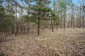344 RS County Road 4254 - Photo 10