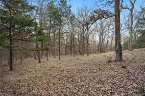 344 RS County Road 4254 - Photo 11