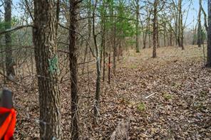 344 RS County Road 4254 - Photo 12
