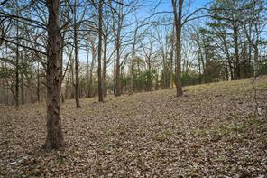 344 RS County Road 4254 - Photo 13