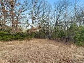 344 RS County Road 4254 - Photo 14