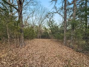 344 RS County Road 4254 - Photo 15