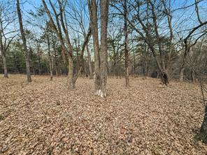 344 RS County Road 4254 - Photo 17