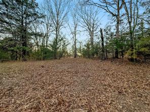344 RS County Road 4254 - Photo 19