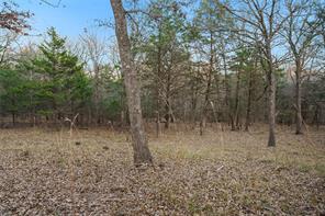 344 RS County Road 4254 - Photo 2