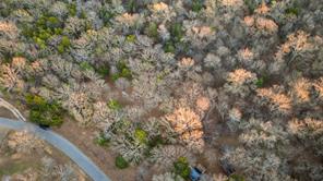 344 RS County Road 4254 - Photo 24