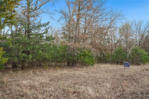 344 RS County Road 4254 - Photo 4
