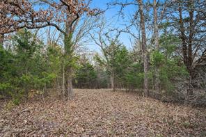 344 RS County Road 4254 - Photo 5