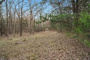 344 RS County Road 4254 - Photo 6