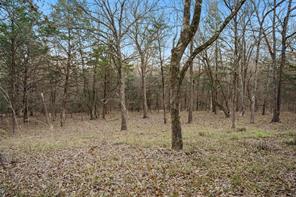 344 RS County Road 4254 - Photo 7