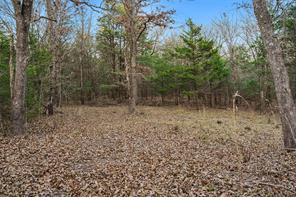 344 RS County Road 4254 - Photo 8