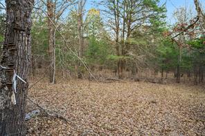 344 RS County Road 4254 - Photo 9