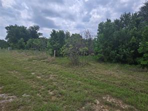 Lot 913 Cinnamon Teal - Photo 14