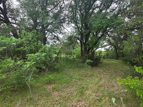 Lot 913 Cinnamon Teal - Photo 8