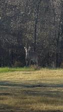 800 Private Road 1485 - Photo 20