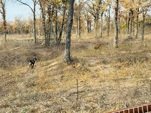 800 Private Road 1485 - Photo 25