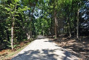 0 Willy Vester Off Of Road - Photo 10