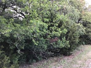 44021 Fringewood Drive - Photo 1