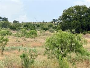 104 Live Oak Mott Drive - Photo 1