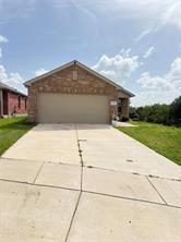 2725 Blackbuck Court - Photo 1