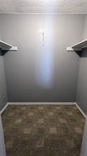 1003 Vedral Place - Photo 20