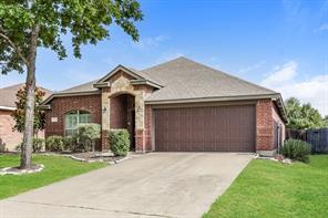 207 Rawhide Street - Photo 1