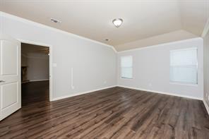 207 Rawhide Street - Photo 16