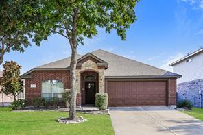 207 Rawhide Street - Photo 2