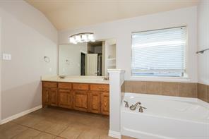 207 Rawhide Street - Photo 22