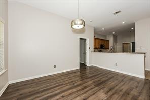 207 Rawhide Street - Photo 9